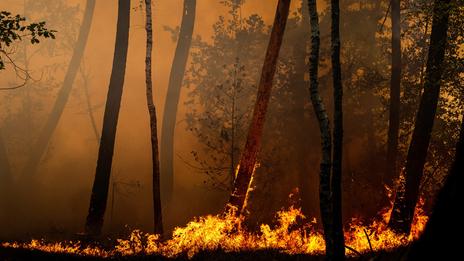 Incendies en France : une accalmie fragile ce lundi, avant le retour de la chaleur