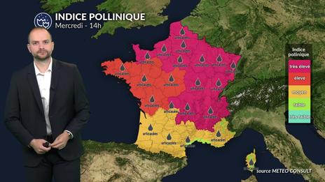 Pollens et allergies : risque très élevé avec le pic caniculaire