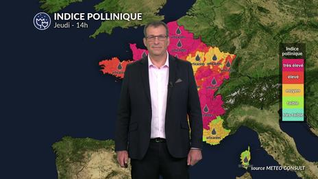 Pollens et allergies : une amélioration liée à la baisse des températures et l'arrivée des orages ce jeudi