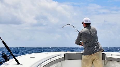 Pêche à soutenir : les bons réflexes pour réussir ses premières sorties