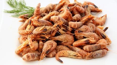 Les crevettes grises : la star discrète de l'apéritif estival sur les côtes de la mer du Nord