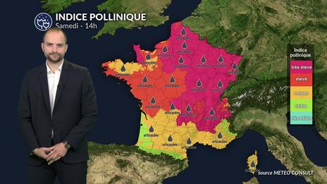 Pollens et allergies : risque allergique plus faible mais attention aux irritants en suspension