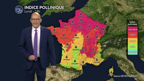 Alerte rouge aux pollens dans le Nord et le Centre : urticacées et orages violents exacerbent le risque demain