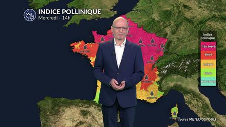 Risque allergique : les pollens estivaux restent bien présents pour demain mercredi