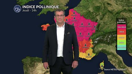 Risque allergique ce jeudi : les concentrations polliniques restent élevées au nord