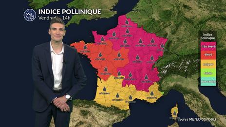 Fortes chaleurs et pic d'urticacées : risque allergique maximal sur la moitié nord ce vendredi