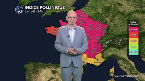 Pic allergique critique au nord et à l'est : urticacées et orages créent un cocktail explosif