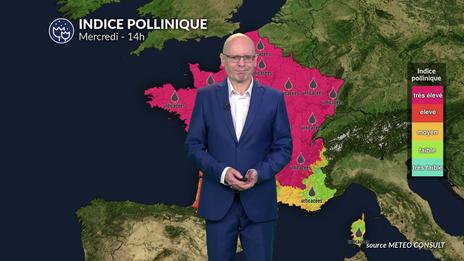 Bulletin pollens et allergies pour mercredi : risque maximal avec la chaleur et les urticacées