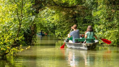 Les Deux-Sèvres et le Marais poitevin : cet été, embarquez au cœur de la « Venise verte »