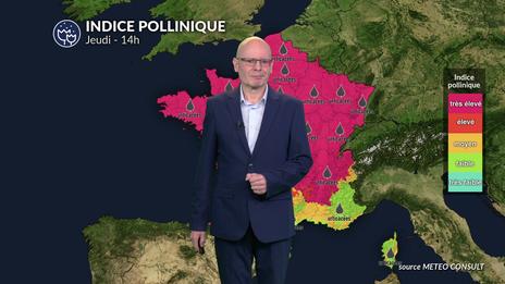 Canicule et risque allergique maximal : urticacées et ambroisie saturent l'air sur presque toute la France