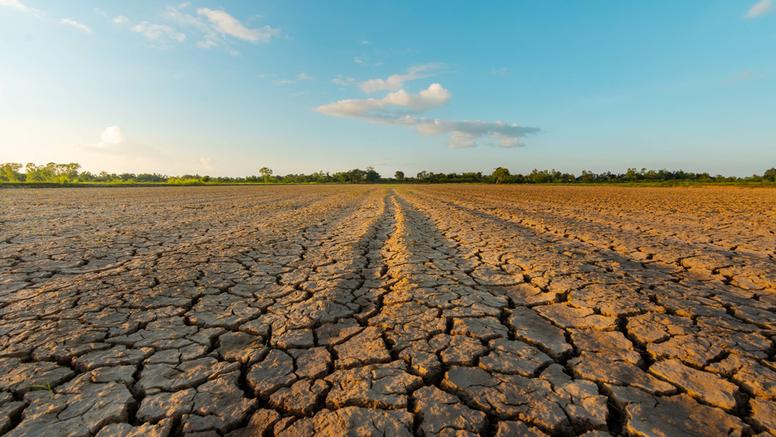 Sécheresse en France : la canicule aggrave encore une situation exceptionnelle