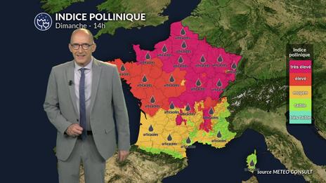 Alerte rouge aux pollens : orages et chaleur font exploser les risques d'allergies sur huit régions