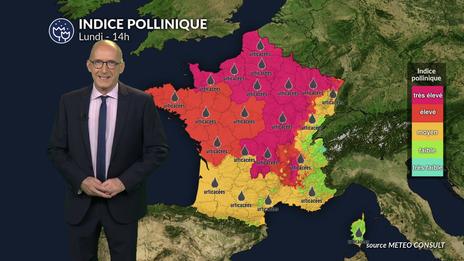Alerte rouge aux pollens d'urticacées sur la moitié nord avec un risque maximal de 5