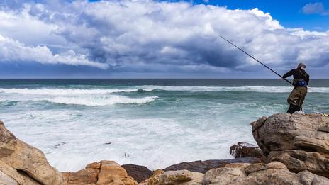 En août, le rockfishing met les ports à portée de canne