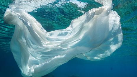 La soie marine, ce fil d’or autrefois tiré d’un coquillage méditerranéen
