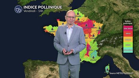 Alerte pollens maximale du nord au centre : urticacées et risque d'orage dans le sud-est