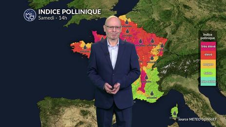 Alerte pollens pour samedi : l'ambroisie et les urticacées saturent l'air du nord et de l'est