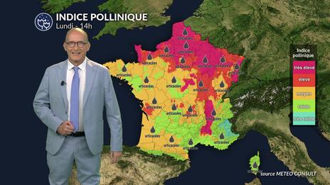 Orages et risque maximal 5 aux urticacées et à l'ambroisie sur la moitié nord
