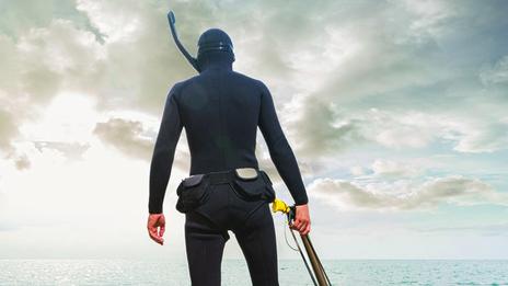 Chasse sous-marine : en fin d’été, comprendre cette discipline qui ne ressemble à aucune autre