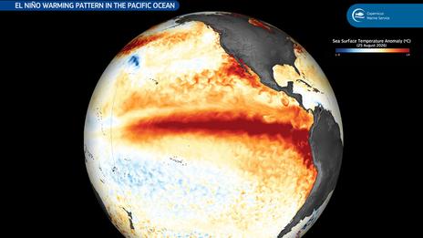 El Niño se renforce : sécheresse et état d’urgence en Amérique centrale