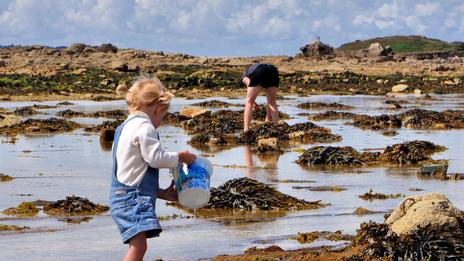Pêche à pied en septembre : coquillages et crustacés, que peut-on encore ramasser ?