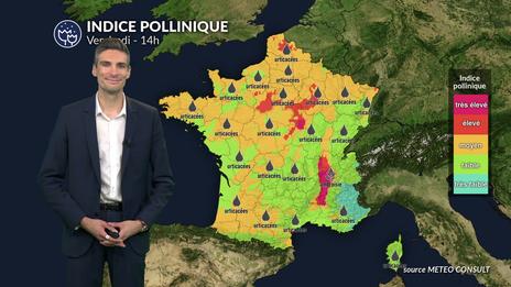 Pollens et allergies : les urticacées restent bien présents dans de nombreuses régions ce vendredi