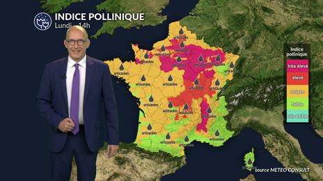 Alerte pollens : l'ambroisie et les urticacées très présents dans l'air du Nord au Grand Est avec un risque maximal