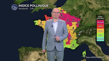 Allergies et pollens pour vendredi : vigilance rouge du nord au sud-est