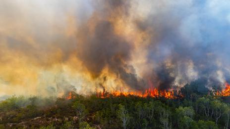 Canicules, incendies, pollution : l’été 2026 illustre l’effet domino du réchauffement