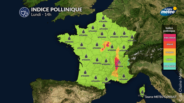 Indice pollinique lundi Pollens Et Allergies