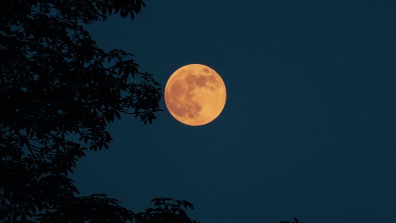 Pleine Lune des Moissons : un spectacle à observer le 26 septembre en France