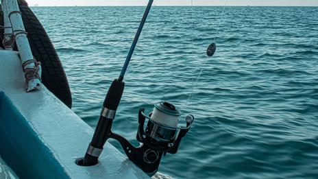 La pêche au vif la technique ancestrale qui piège encore les plus gros prédateurs