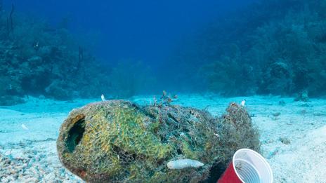 Les zones mortes océaniques ces déserts sous marins qui gagnent du terrain