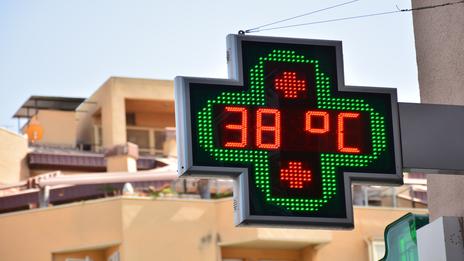 Canicule 2026 : plus de 8 000 décès en excès en France cet été