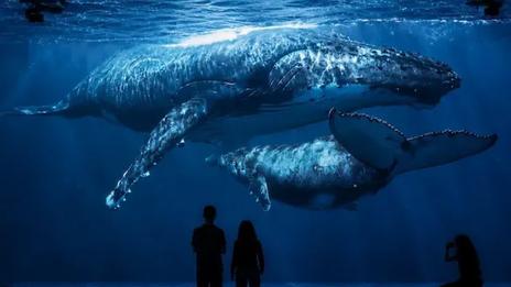 Planète Océan une plongée monumentale au cœur des abysses à Paris