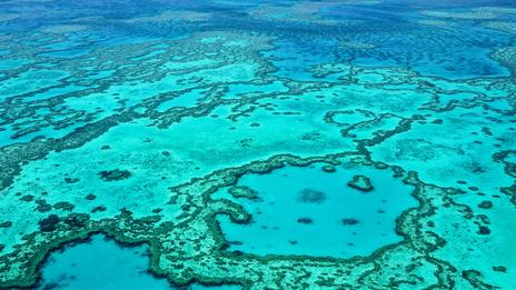 Australie : pourquoi octobre est l’un des meilleurs mois pour découvrir la Grande Barrière de corail
