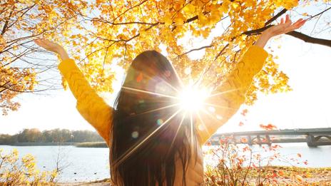 Demain, c’est l’automne… mais l’été fait de la résistance
