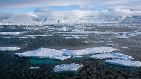 Banquise arctique : pourquoi sa fonte marque-t-elle une pause depuis près de 20 ans ?