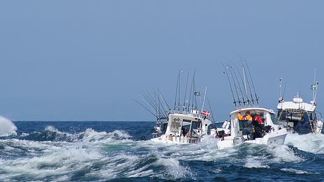 Les compétitions de pêche en France un sport aux disciplines multiples
