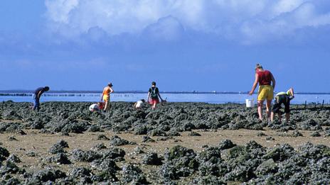 Pêche : les secrets pour prendre du poisson sans bateau