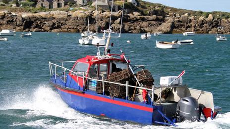 Jersey, Chausey, Minquiers : ces nouvelles zones protégées qui changent les règles en Manche