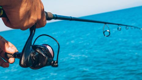 Pêche : comment bien lire la thermocline pour ne plus passer à côté des poissons
