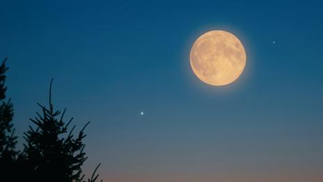 Pleine Lune du Chasseur : quand et comment l’observer en France ?