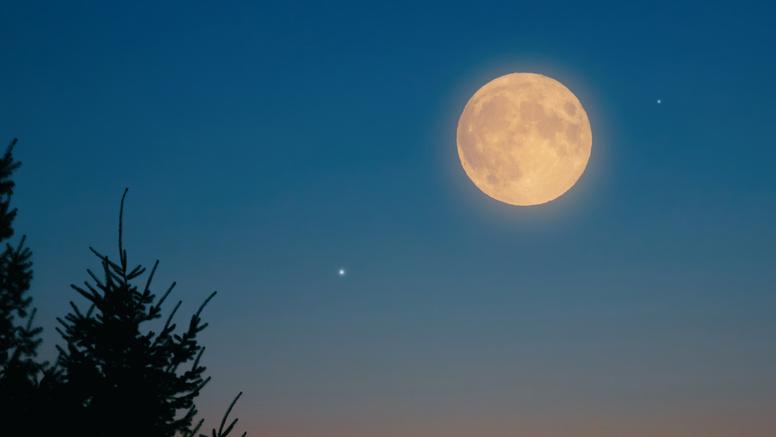 Pleine Lune du Chasseur : quand et comment l’observer en France ?