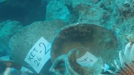 Turquie : la plus ancienne épave du monde découverte au fond de la Méditerranée