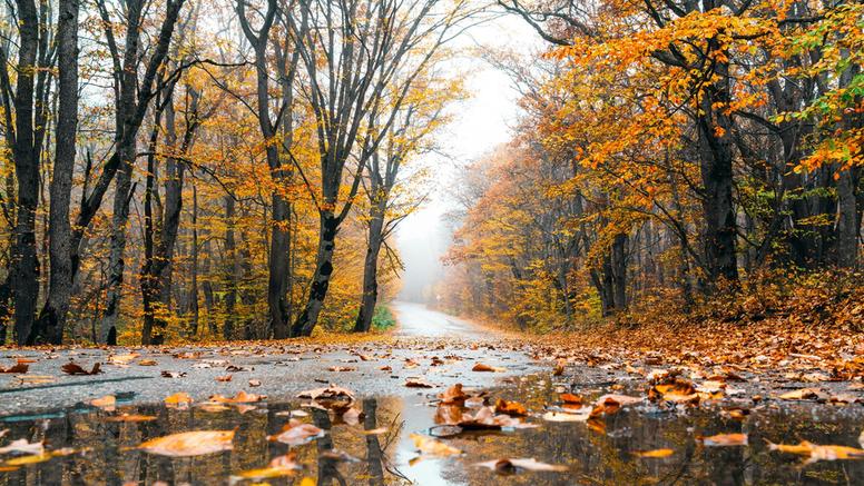 Météo en France : après des mois d'anticyclone, l'automne reprend enfin ses droits
