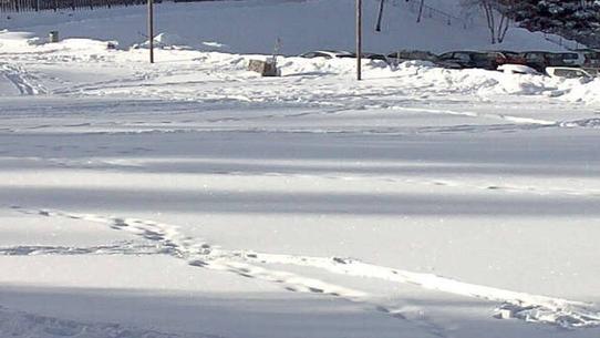 Les Rousses - Centre d'activités Omnibus