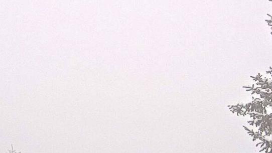 Chamrousse 1750 - Front de neige