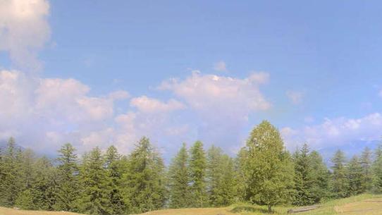 Sainte Foy - Plans Bois