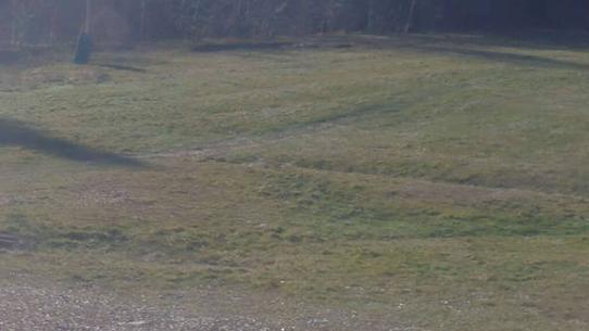 Chalmazel - Les Campanules